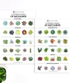 EDDM Full Service Sell Sheets (1)